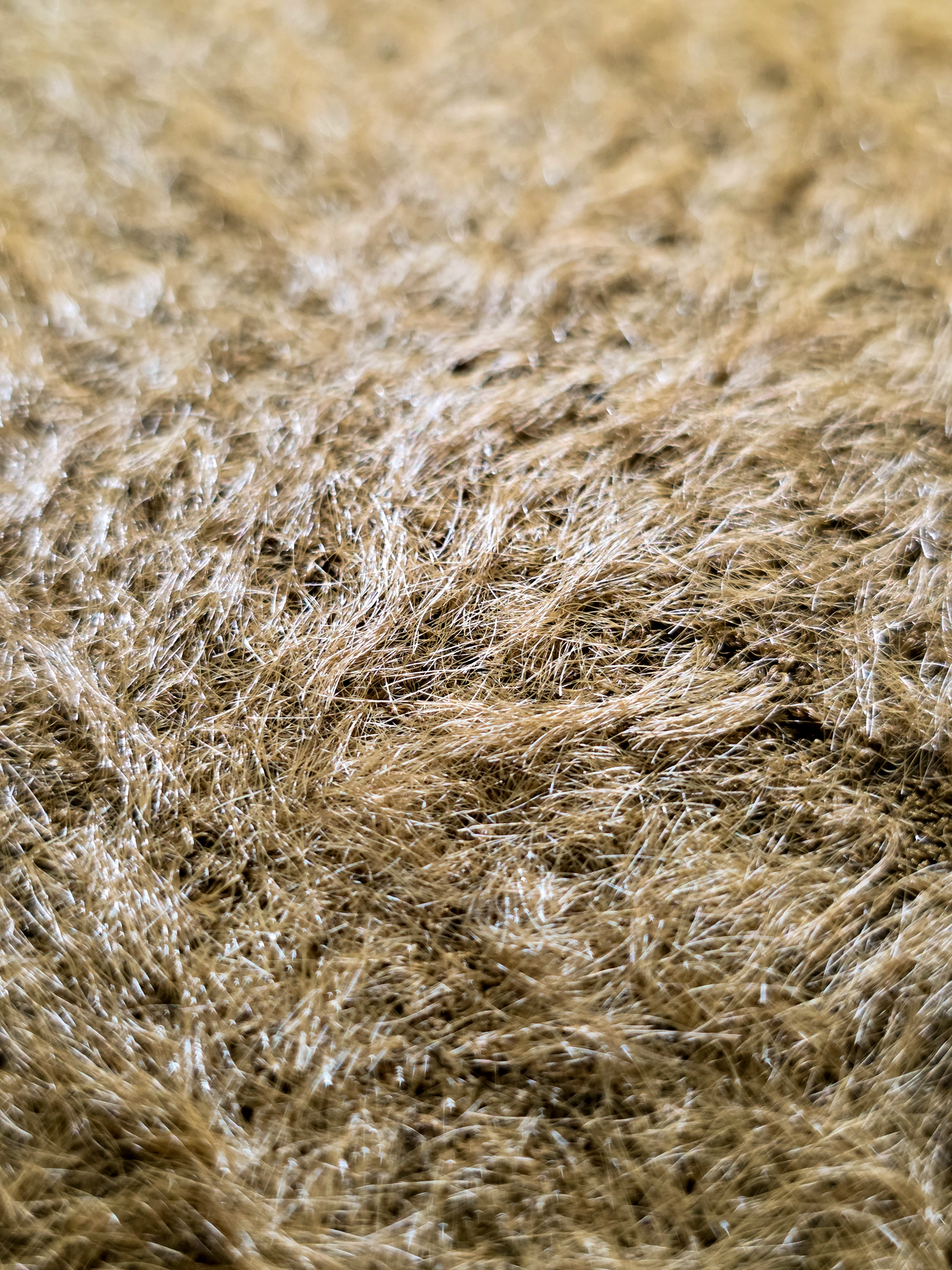 Fuzzy Knit Sweater (Brown)